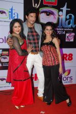 Manish Raisinghani, Jayati Bhatia at ITA Awards red carpet in Mumbai on 1st Nov 2014